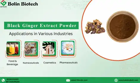 Black Ginger Extract Applications: From Nutraceuticals and Functional Beverages to Cosmetics and Pharmaceuticals